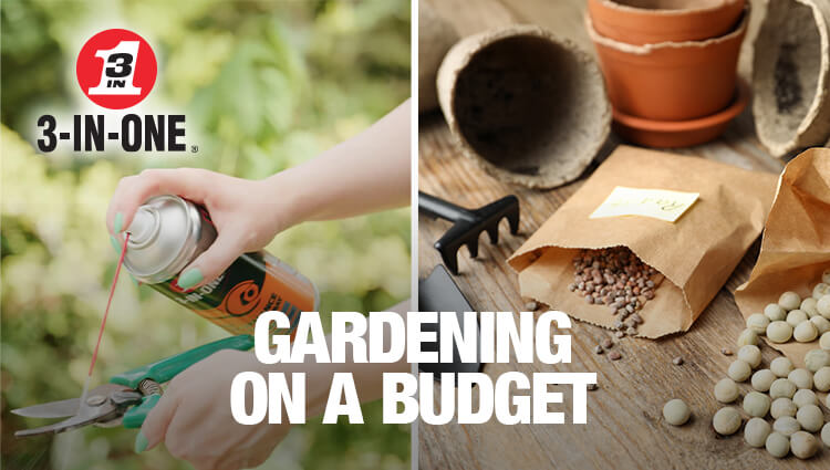 gardening on a budget