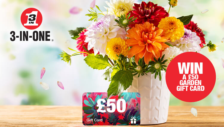 Garden glow-up for Mum this Mother’s Day